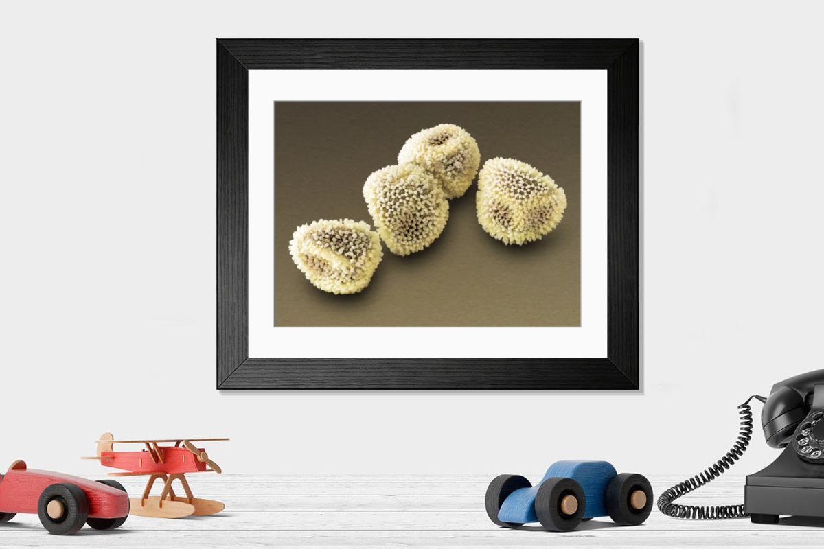 Shown hanging in a room: Modern 14"x12" (36x31cm)