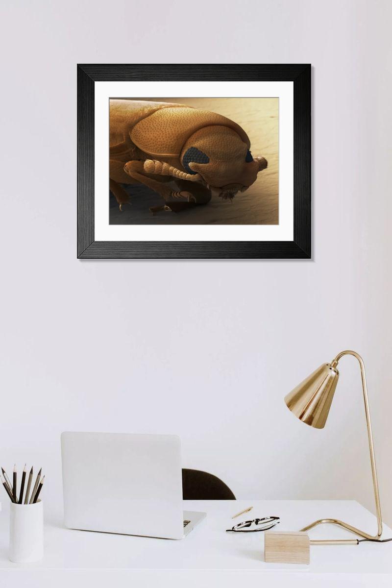 Shown hanging in a room: Modern 14"x12" (36x31cm)