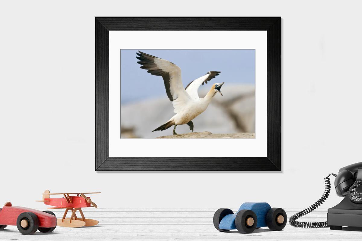 Shown hanging in a room: Modern 14"x12" (36x31cm)