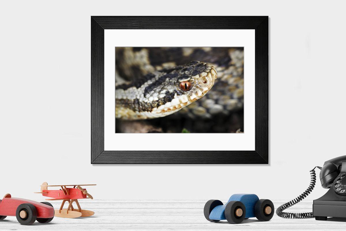 Shown hanging in a room: Modern 14"x12" (36x31cm)