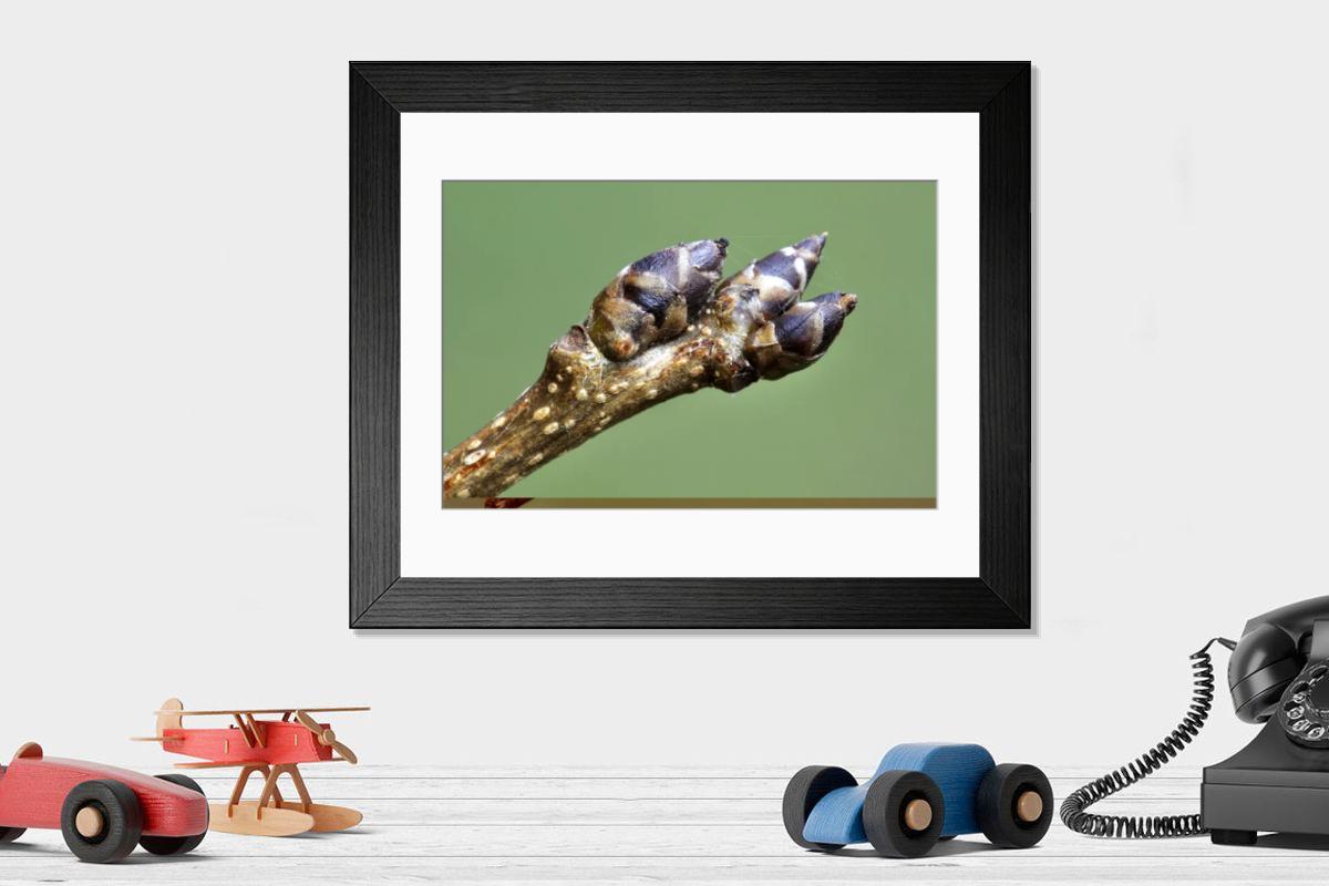 Shown hanging in a room: Modern 14"x12" (36x31cm)