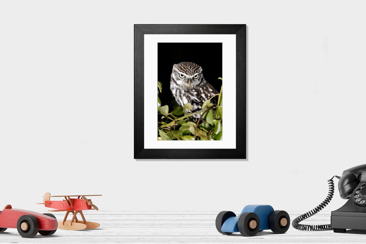 Shown hanging in a room: Modern 14"x12" (36x31cm)
