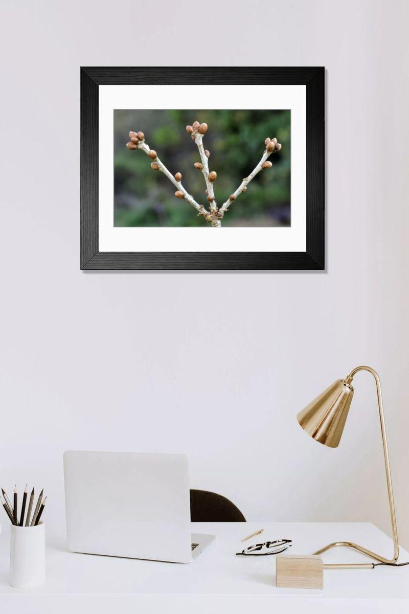 Shown hanging in a room: Modern 14"x12" (36x31cm)