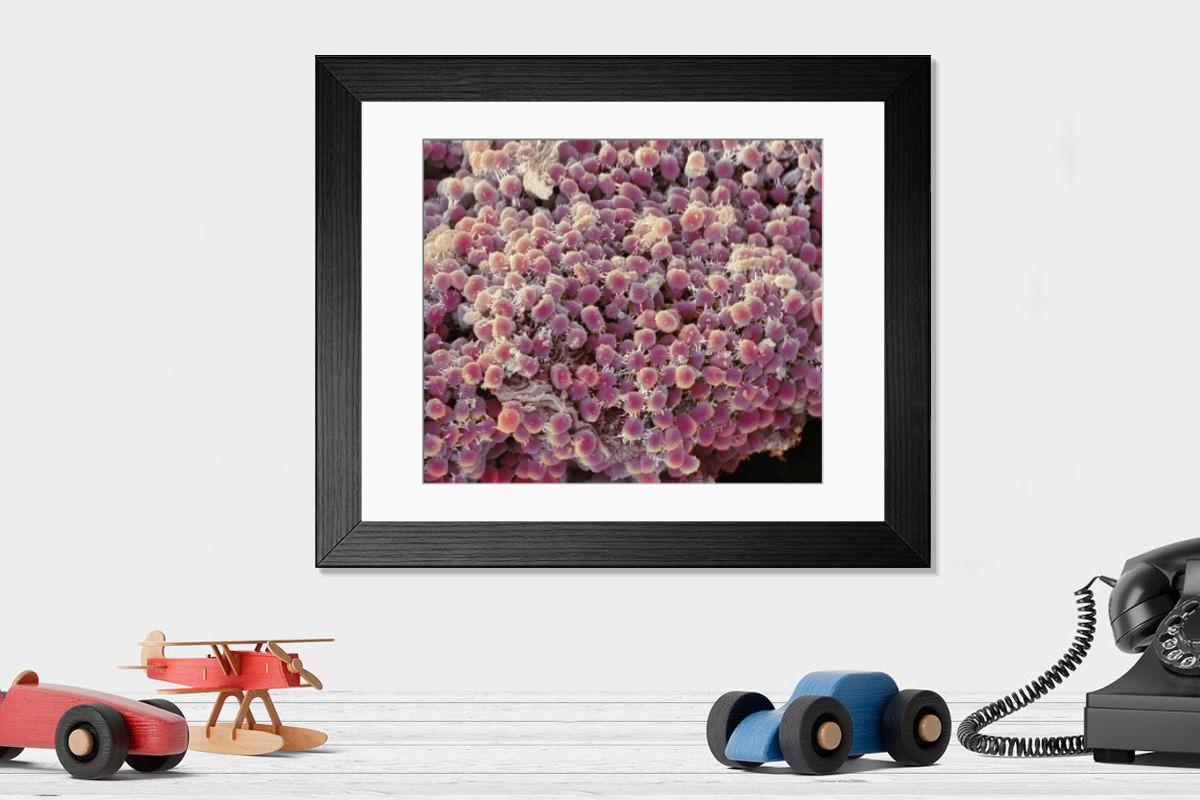 Shown hanging in a room: Modern 14"x12" (36x31cm)