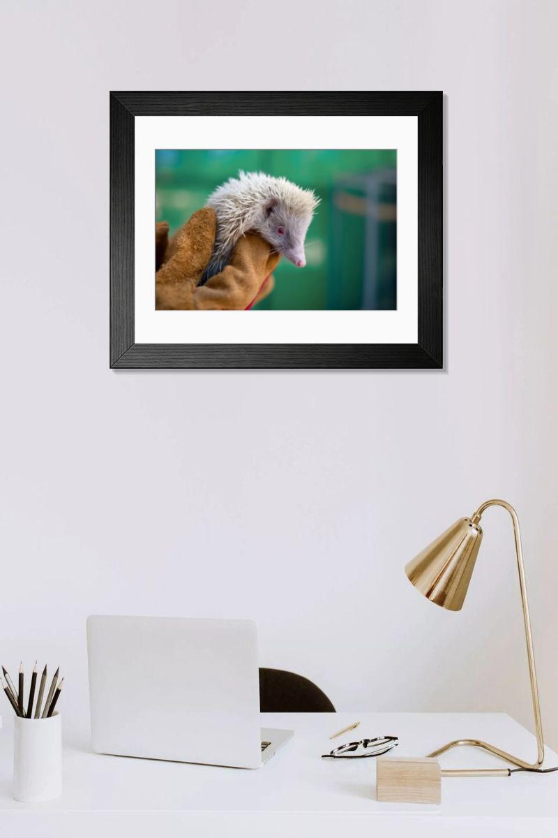 Shown hanging in a room: Modern 14"x12" (36x31cm)