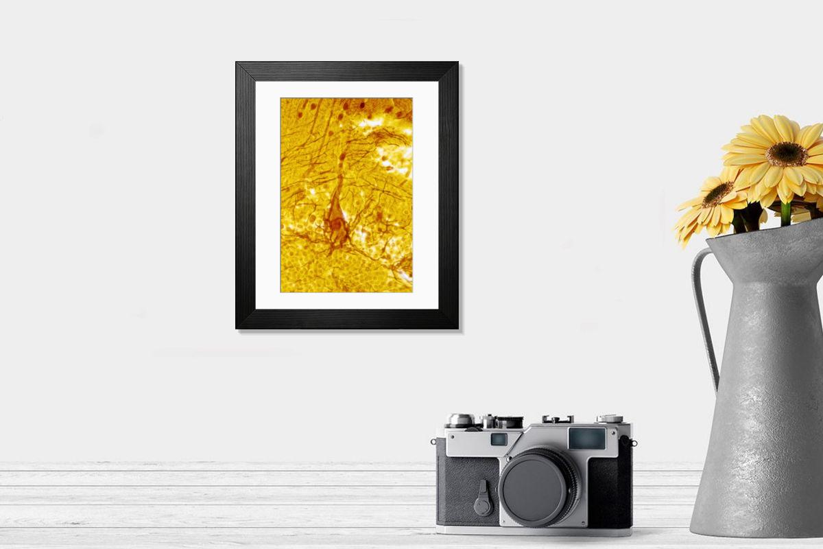 Shown hanging in a room: Modern 14"x12" (36x31cm)