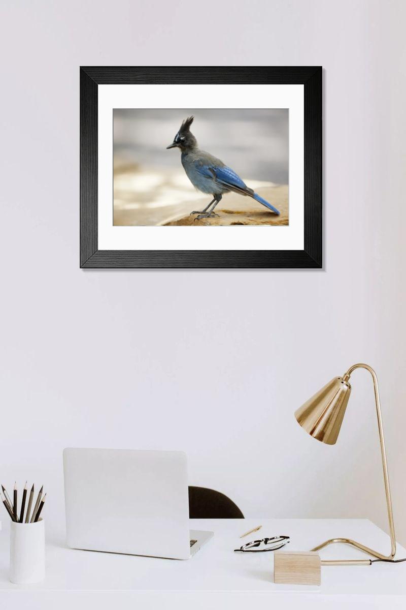 Shown hanging in a room: Modern 14"x12" (36x31cm)