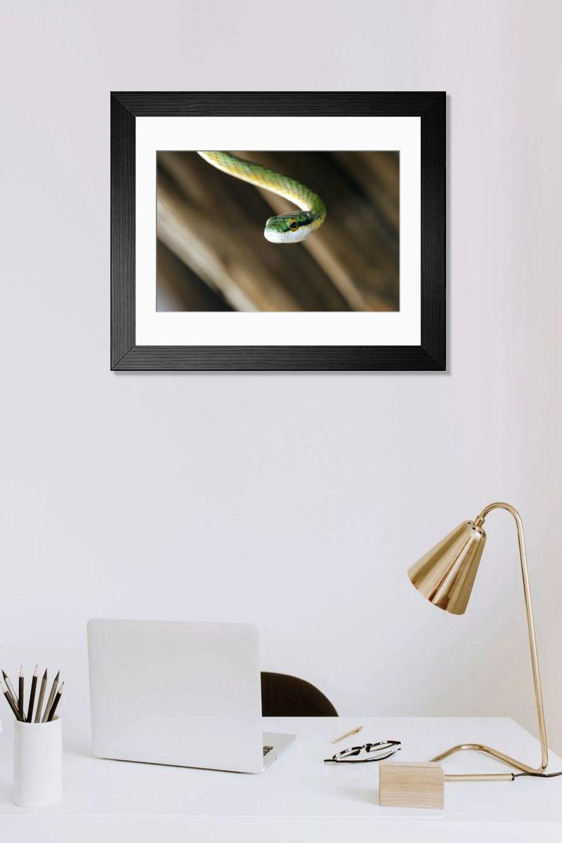 Shown hanging in a room: Modern 14"x12" (36x31cm)