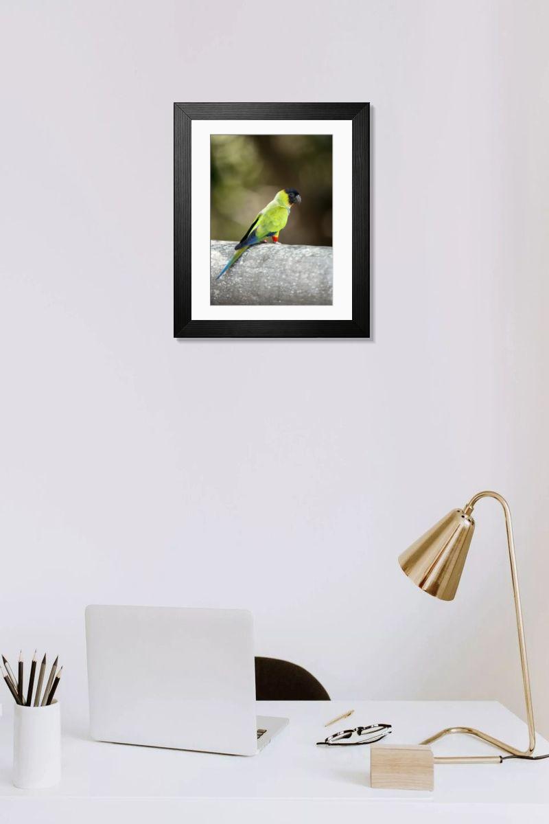 Shown hanging in a room: Modern 14"x12" (36x31cm)