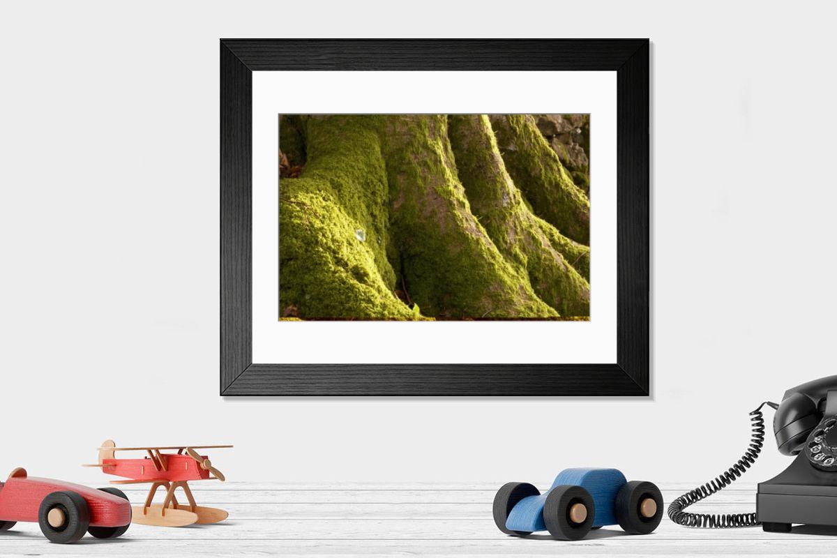 Shown hanging in a room: Modern 14"x12" (36x31cm)