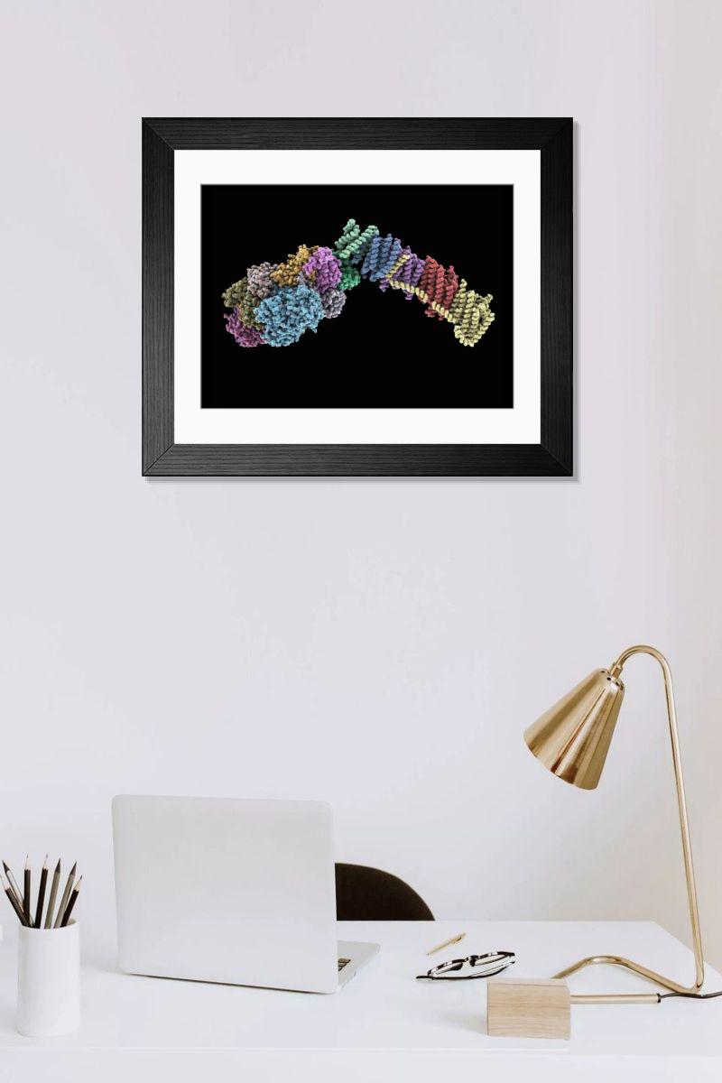 Shown hanging in a room: Modern 14"x12" (36x31cm)