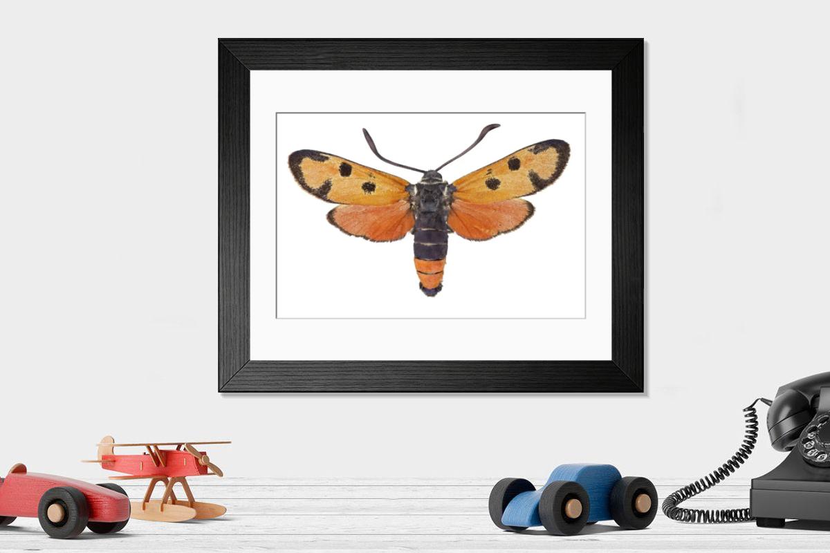 Shown hanging in a room: Modern 14"x12" (36x31cm)