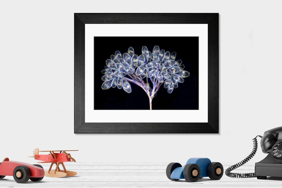 Shown hanging in a room: Modern 14"x12" (36x31cm)