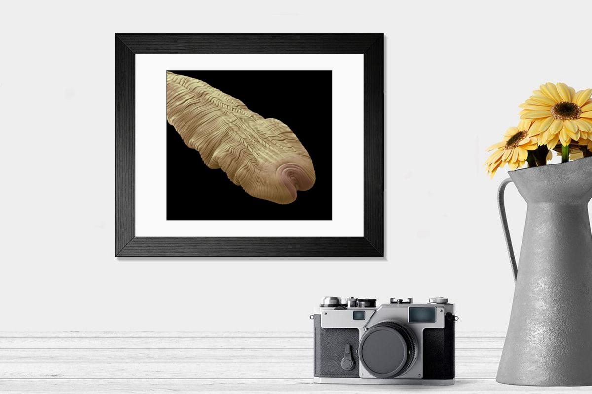 Shown hanging in a room: Modern 14"x12" (36x31cm)
