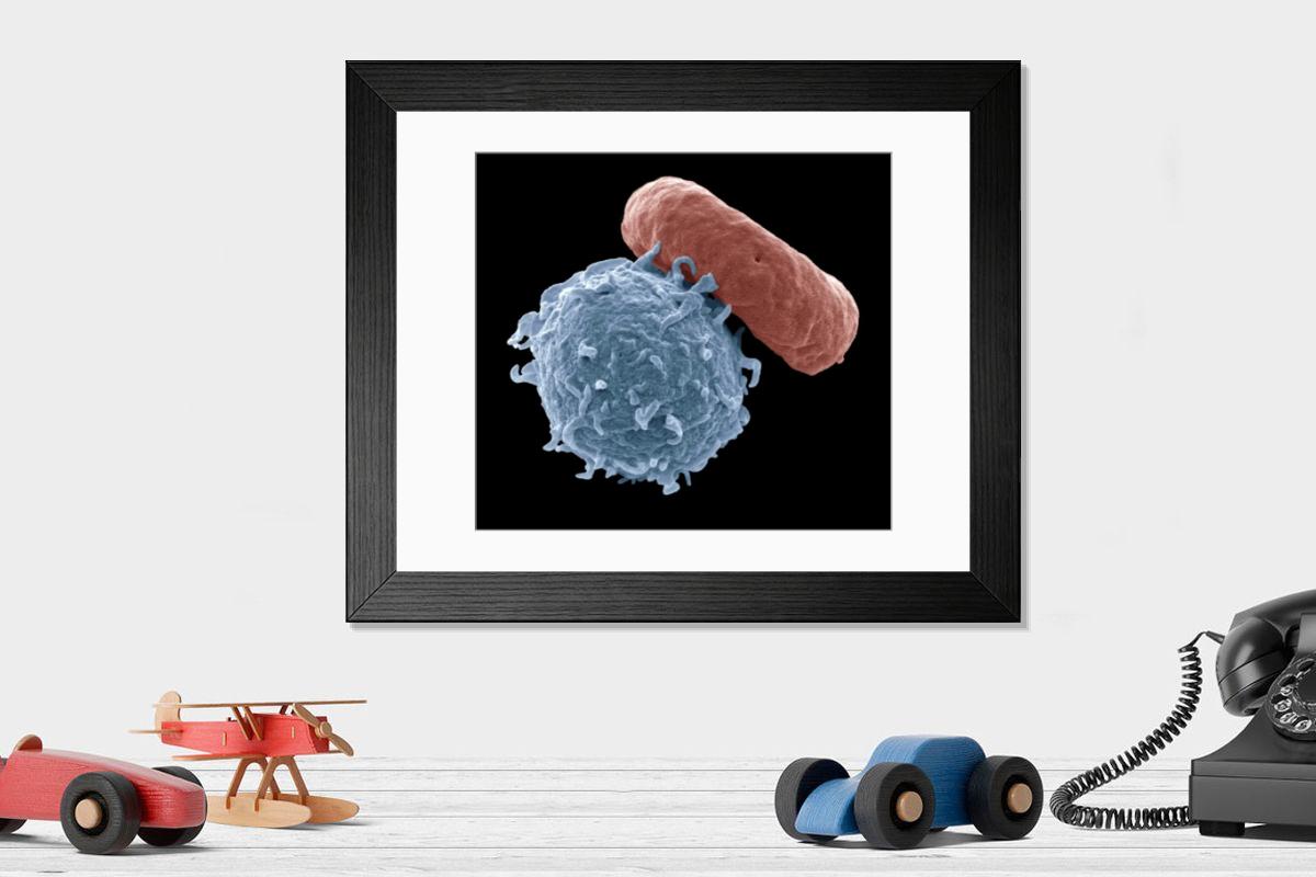 Shown hanging in a room: Modern 14"x12" (36x31cm)