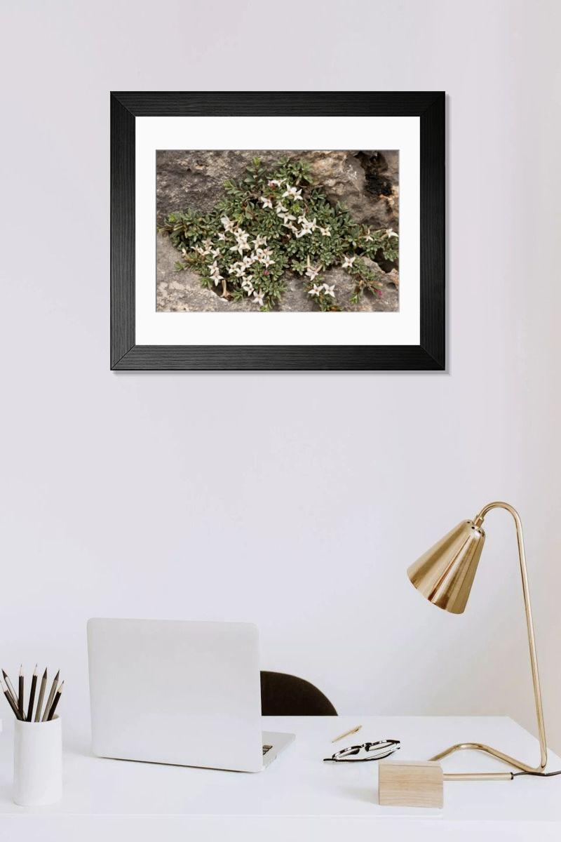 Shown hanging in a room: Modern 14"x12" (36x31cm)