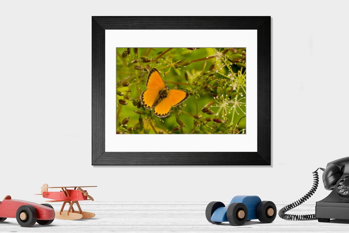Shown hanging in a room: Modern 14"x12" (36x31cm)