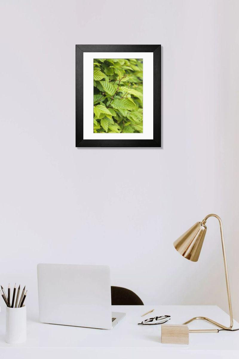 Shown hanging in a room: Modern 14"x12" (36x31cm)