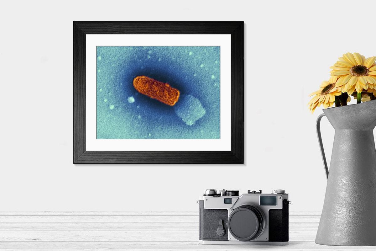 Shown hanging in a room: Modern 14"x12" (36x31cm)