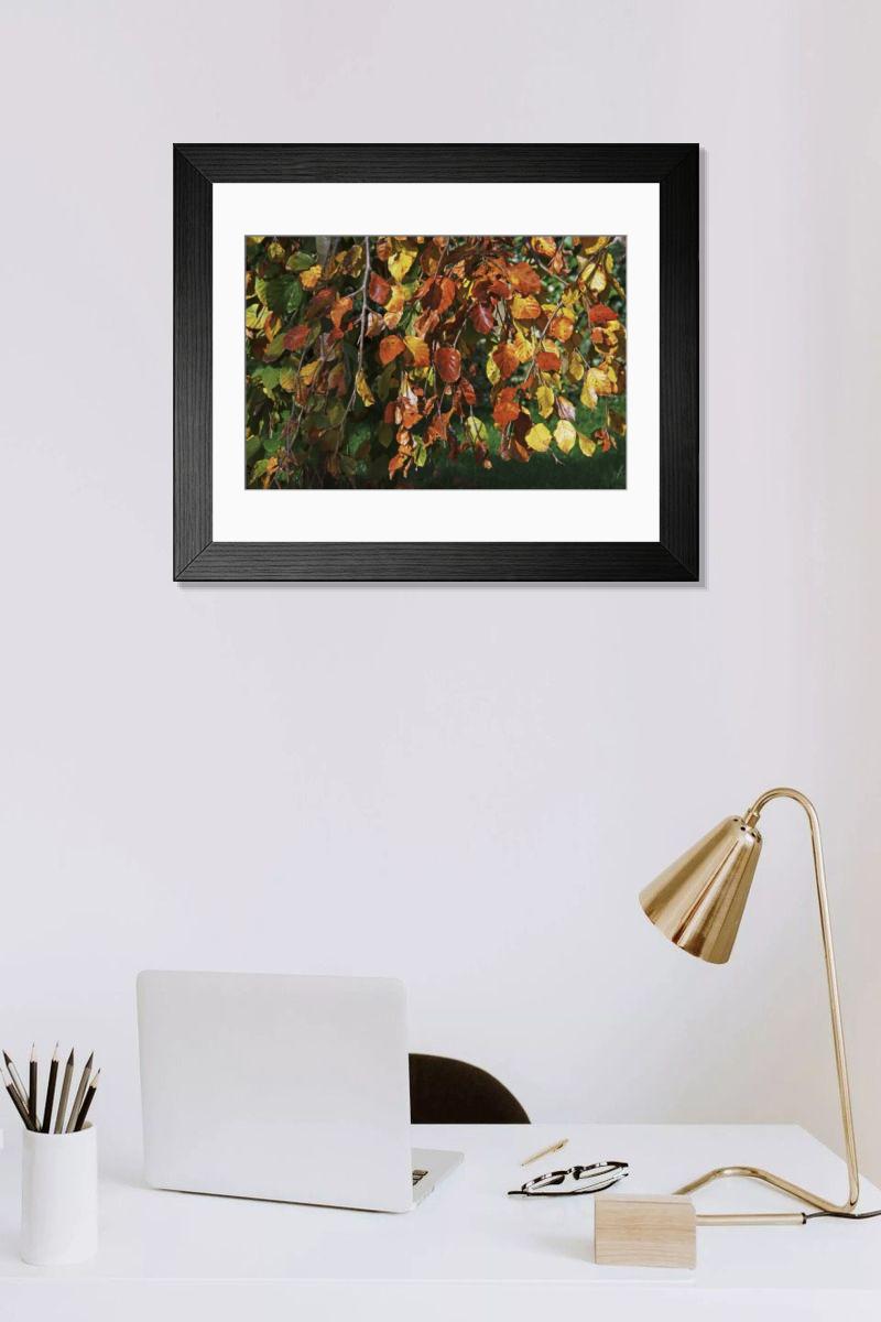 Shown hanging in a room: Modern 14"x12" (36x31cm)