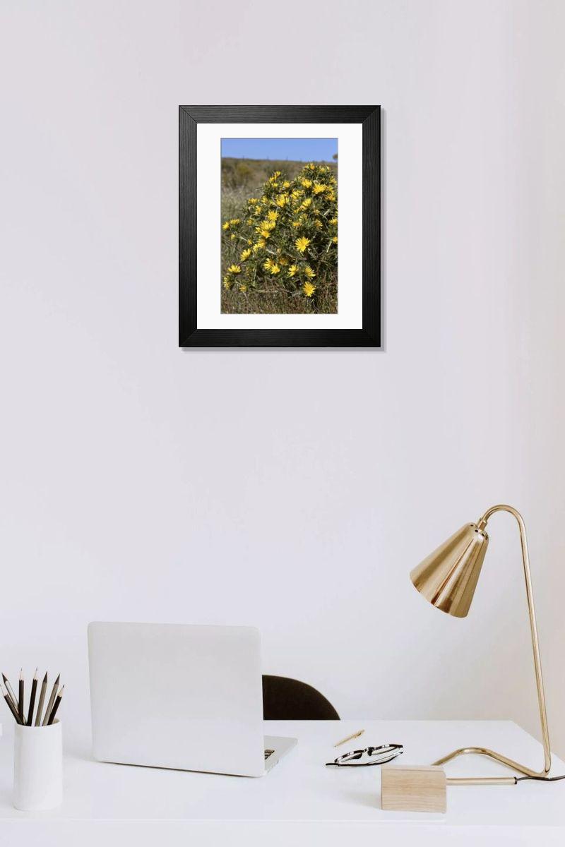Shown hanging in a room: Modern 14"x12" (36x31cm)