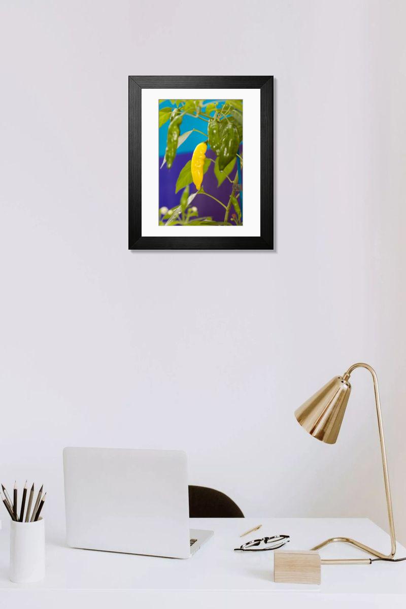 Shown hanging in a room: Modern 14"x12" (36x31cm)
