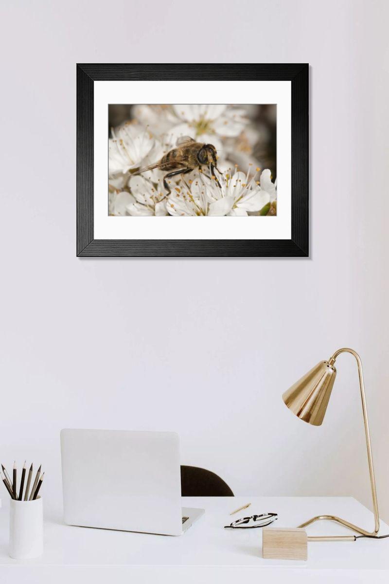 Shown hanging in a room: Modern 14"x12" (36x31cm)