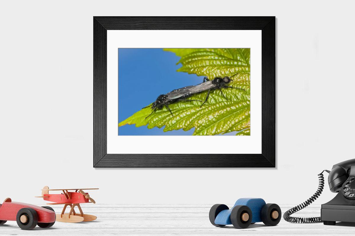 Shown hanging in a room: Modern 14"x12" (36x31cm)
