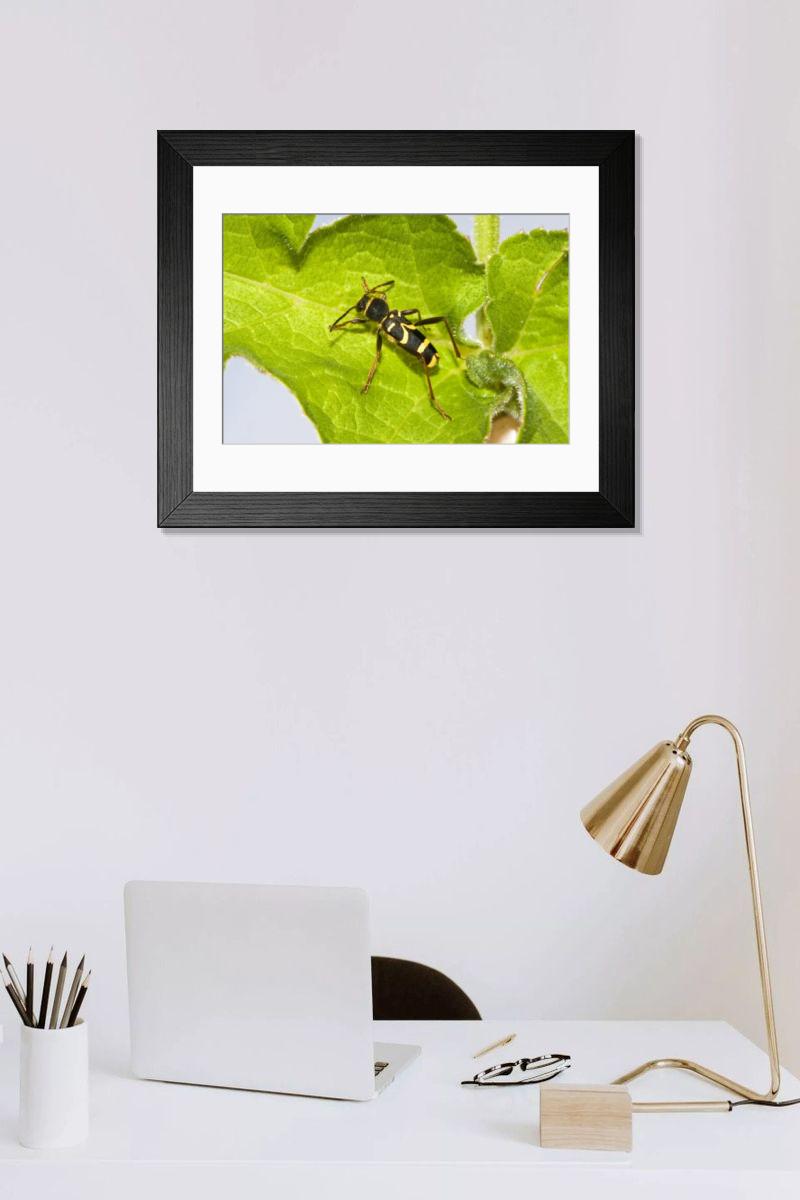 Shown hanging in a room: Modern 14"x12" (36x31cm)
