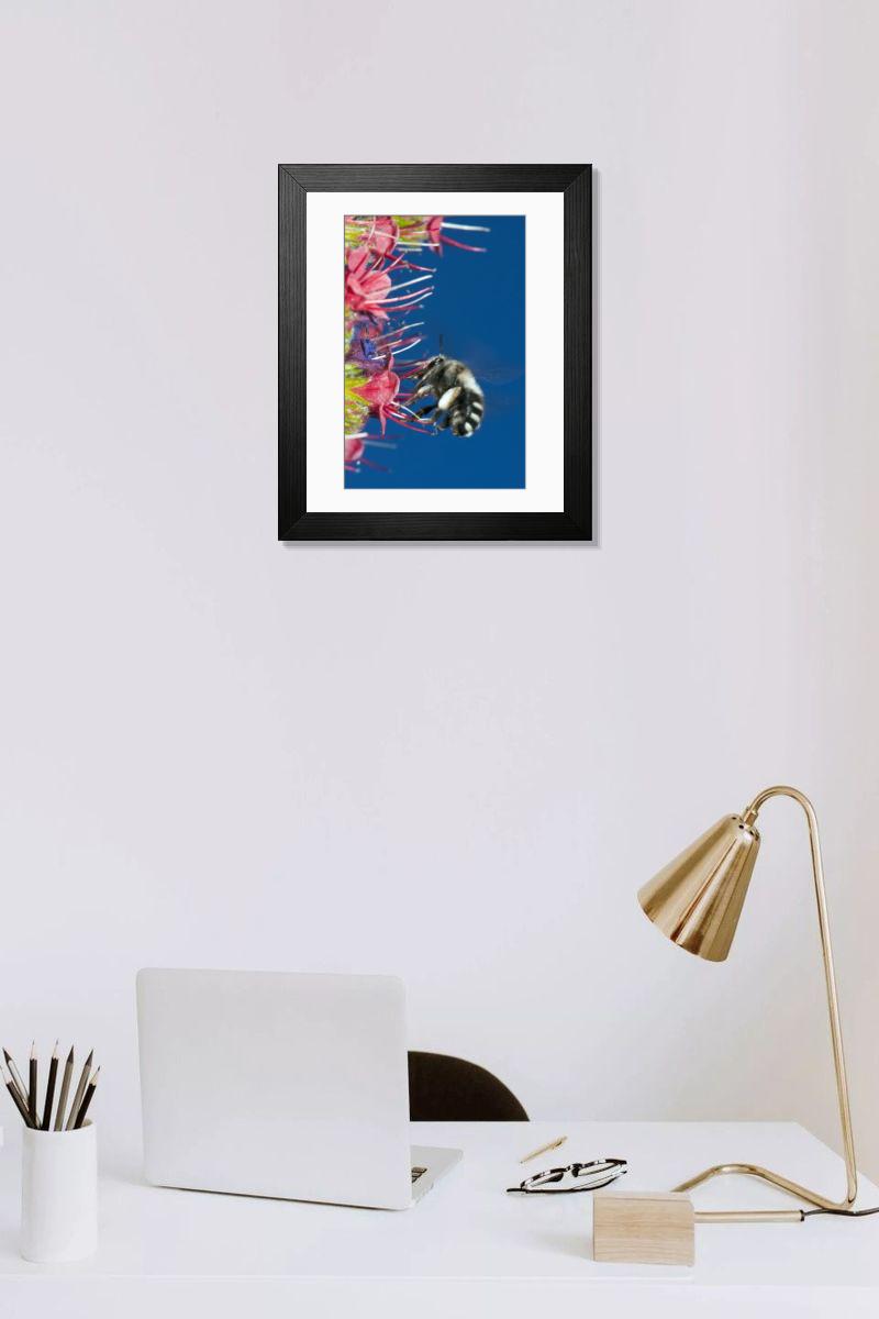 Shown hanging in a room: Modern 14"x12" (36x31cm)