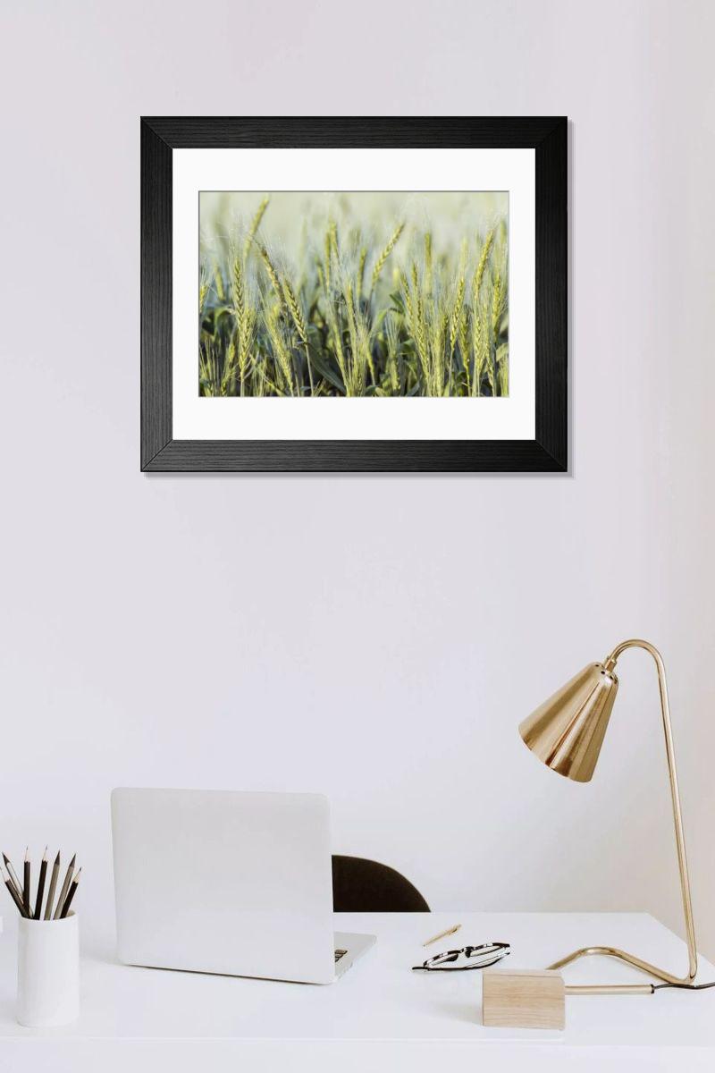 Shown hanging in a room: Modern 14"x12" (36x31cm)