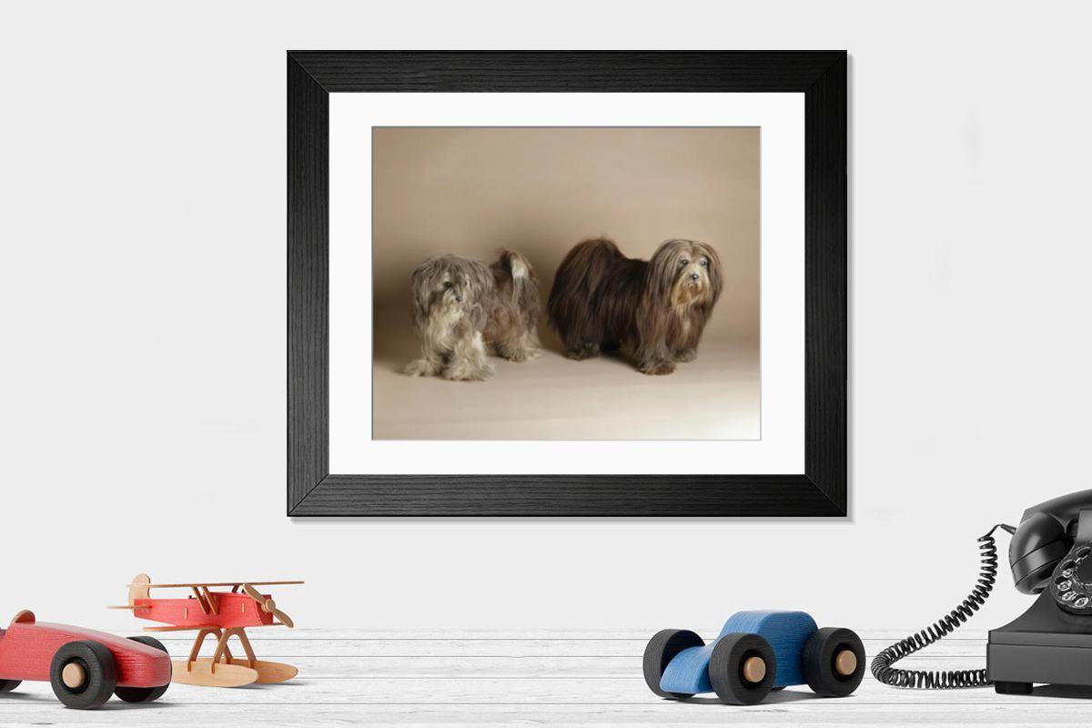 Shown hanging in a room: Modern 14"x12" (36x31cm)