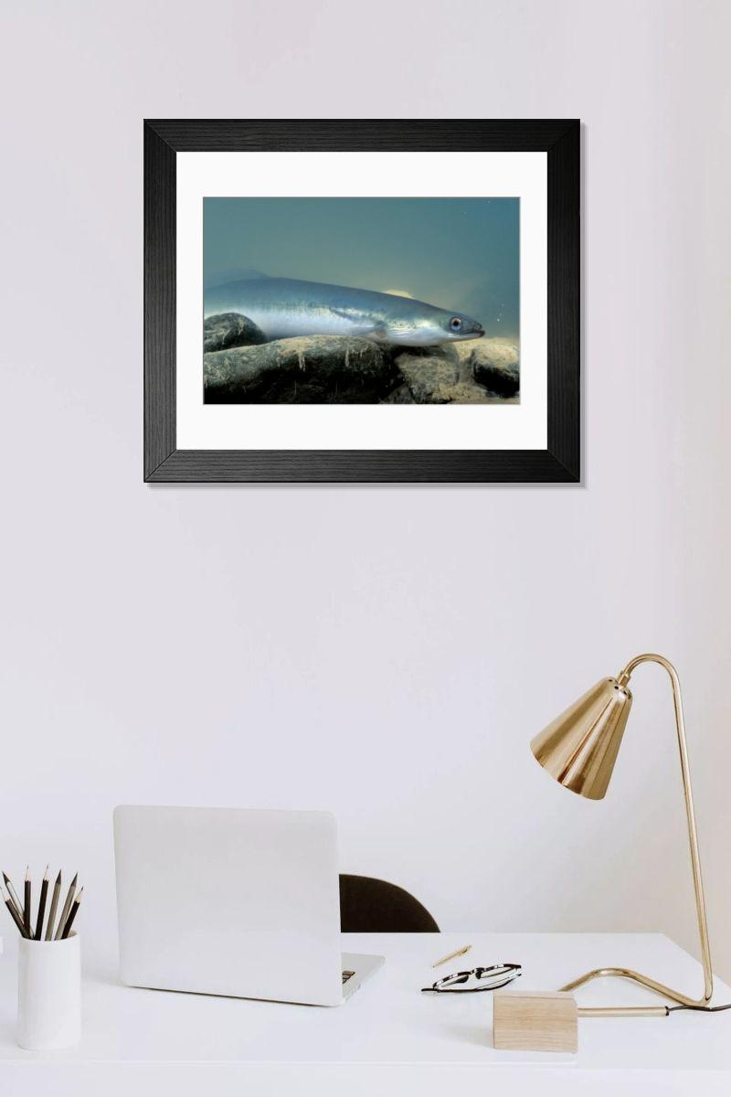 Shown hanging in a room: Modern 14"x12" (36x31cm)