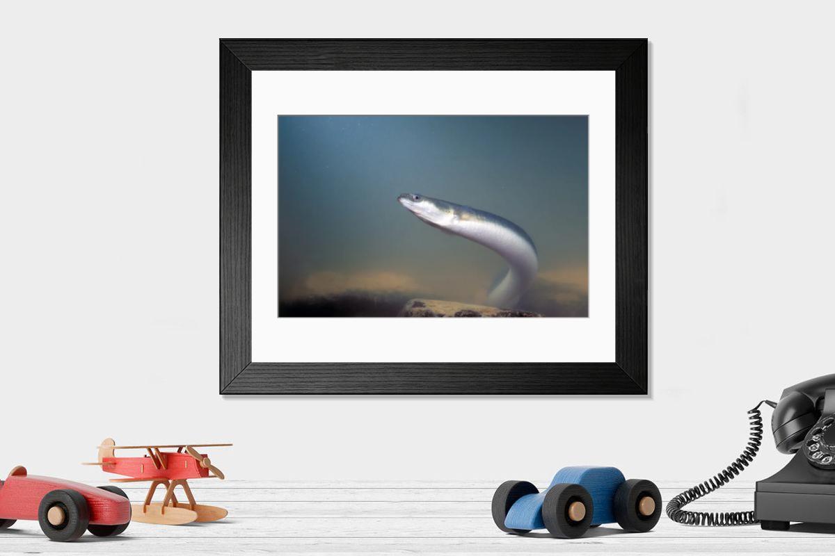 Shown hanging in a room: Modern 14"x12" (36x31cm)