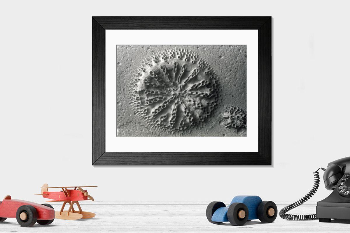 Shown hanging in a room: Modern 14"x12" (36x31cm)
