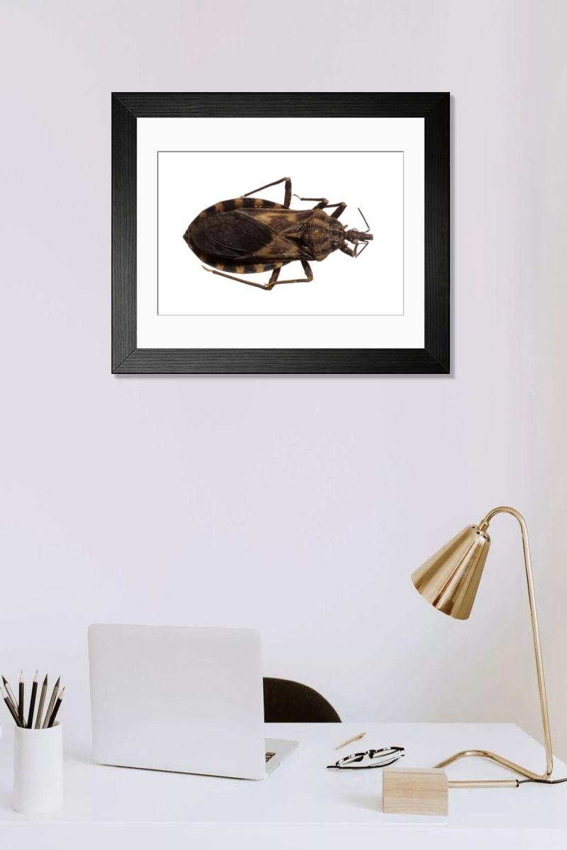 Shown hanging in a room: Modern 14"x12" (36x31cm)
