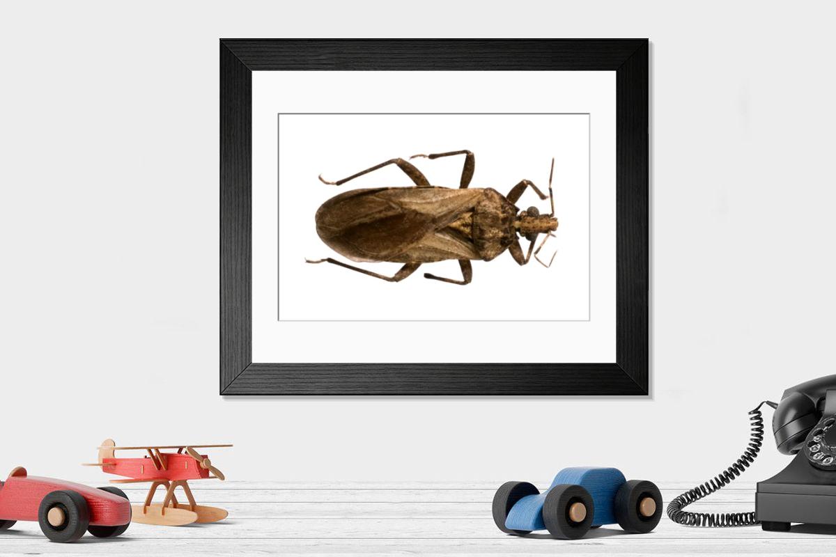 Shown hanging in a room: Modern 14"x12" (36x31cm)