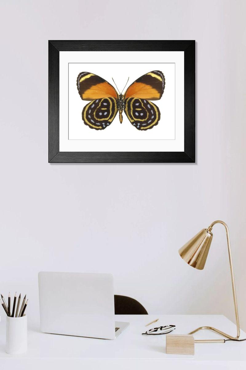 Shown hanging in a room: Modern 14"x12" (36x31cm)