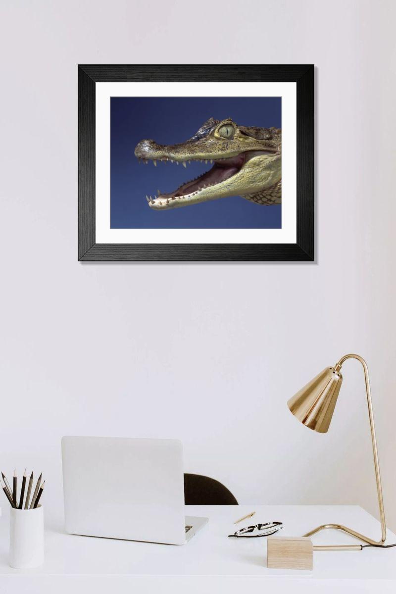 Shown hanging in a room: Modern 14"x12" (36x31cm)