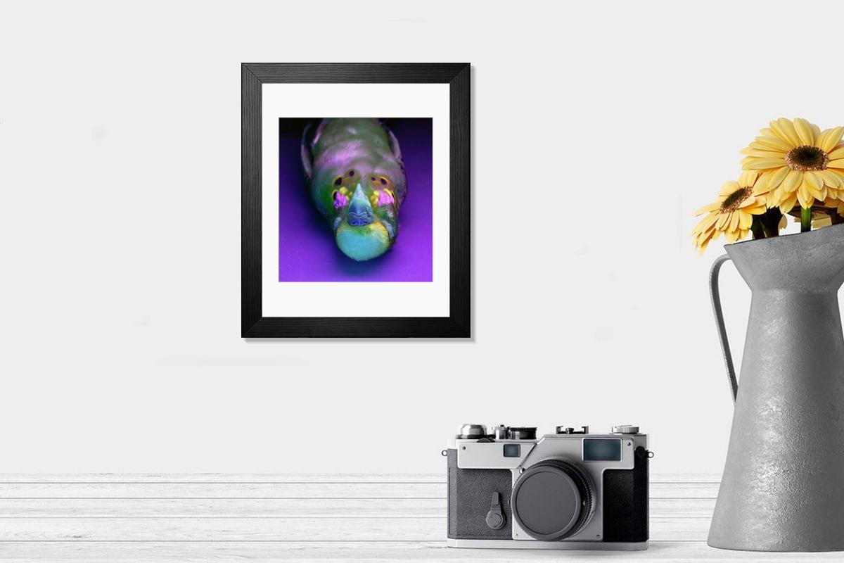 product preview 0