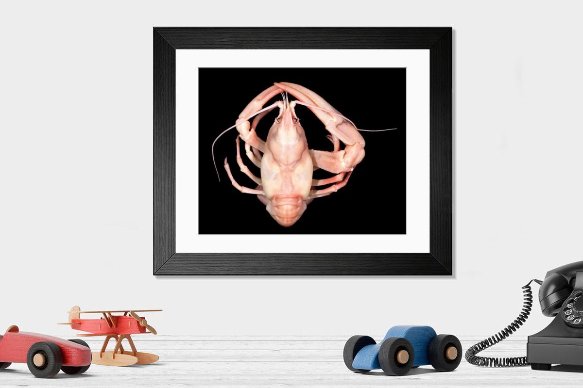 Shown hanging in a room: Modern 14"x12" (36x31cm)