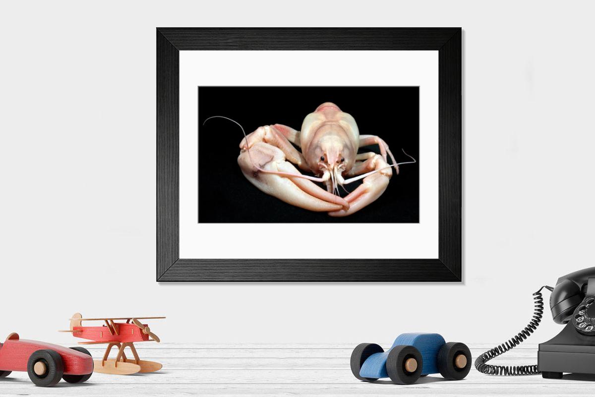 Shown hanging in a room: Modern 14"x12" (36x31cm)