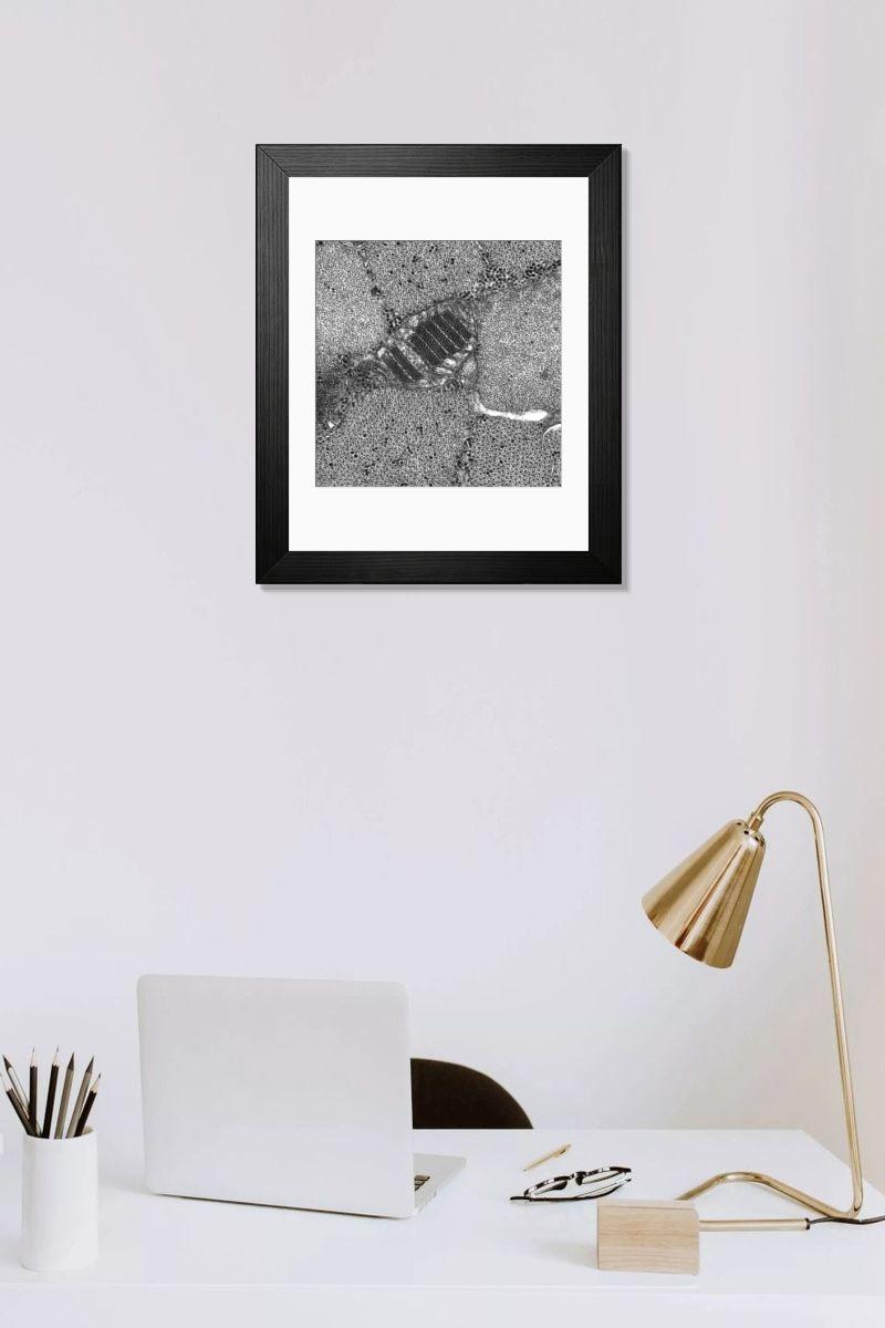 Shown hanging in a room: Modern 14"x12" (36x31cm)