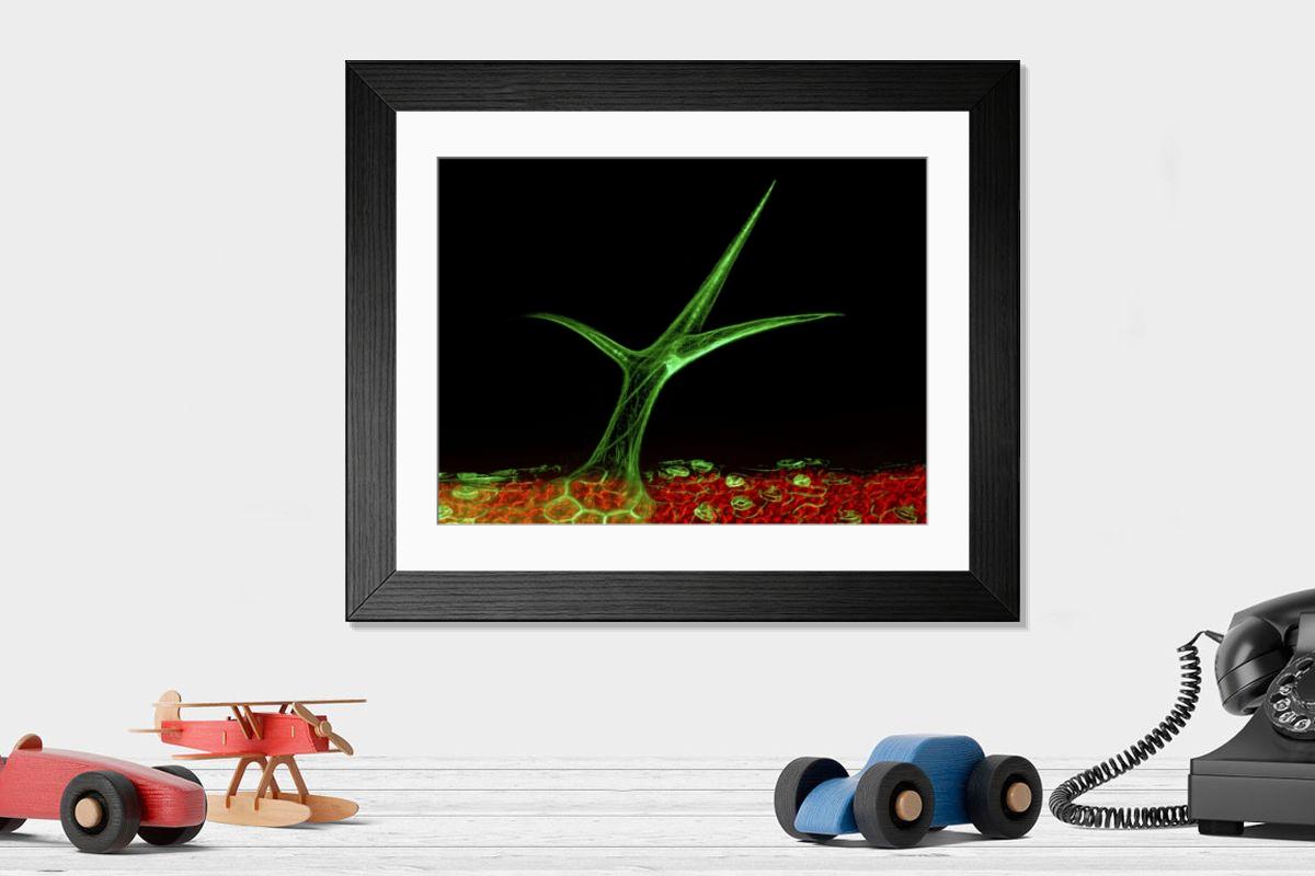 Shown hanging in a room: Modern 14"x12" (36x31cm)