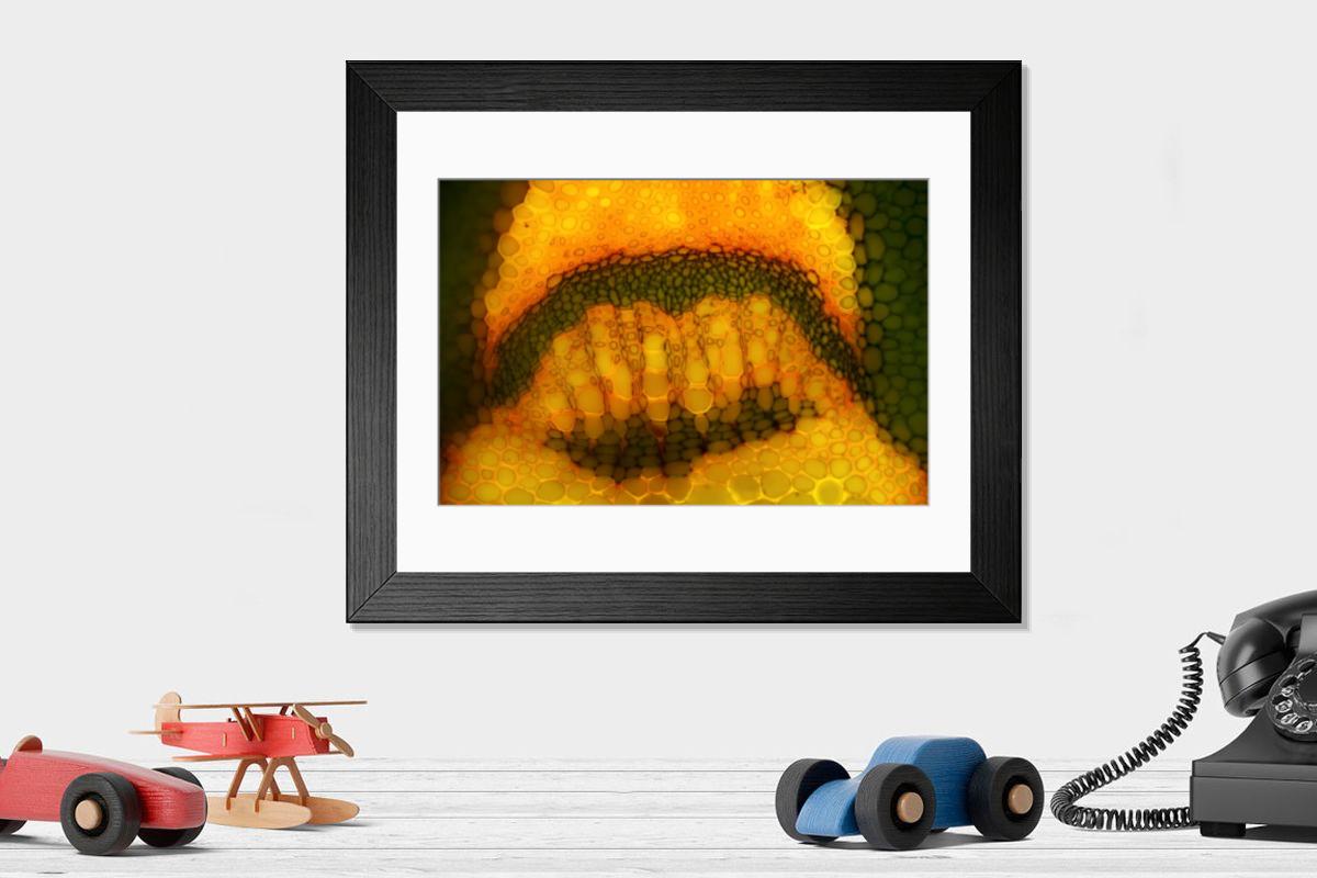 Shown hanging in a room: Modern 14"x12" (36x31cm)