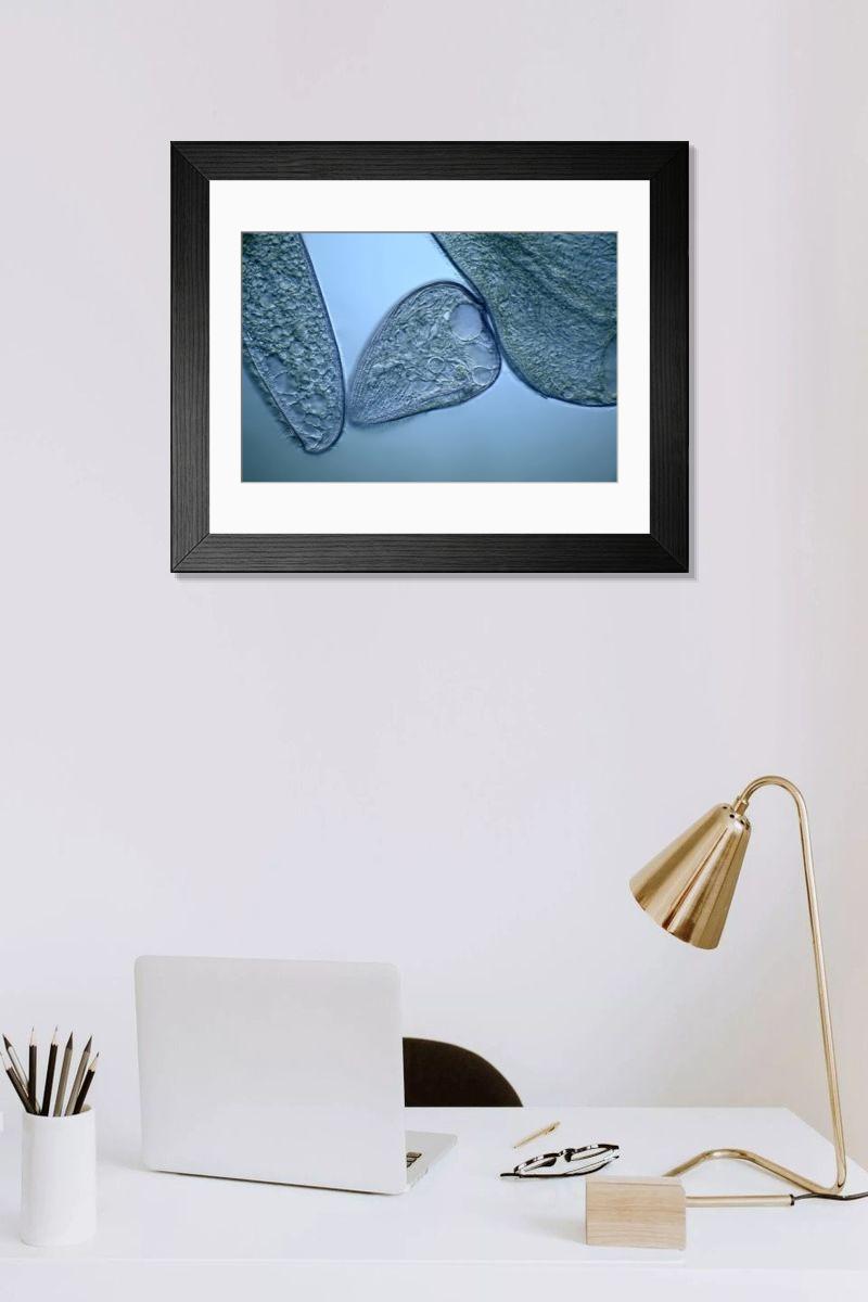 Shown hanging in a room: Modern 14"x12" (36x31cm)