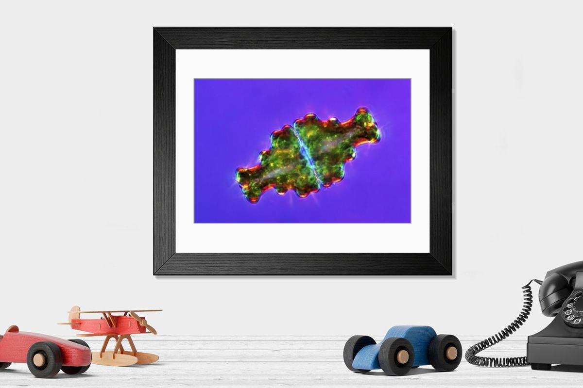 Shown hanging in a room: Modern 14"x12" (36x31cm)
