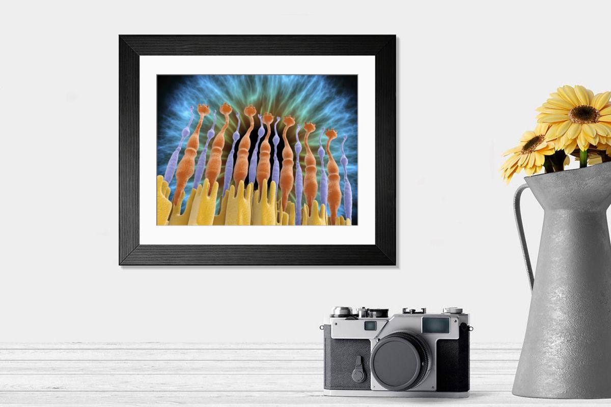 Shown hanging in a room: Modern 14"x12" (36x31cm)