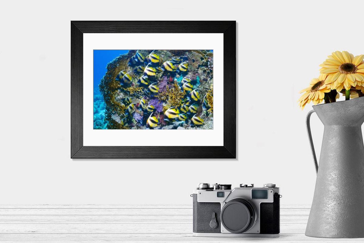 Shown hanging in a room: Modern 14"x12" (36x31cm)
