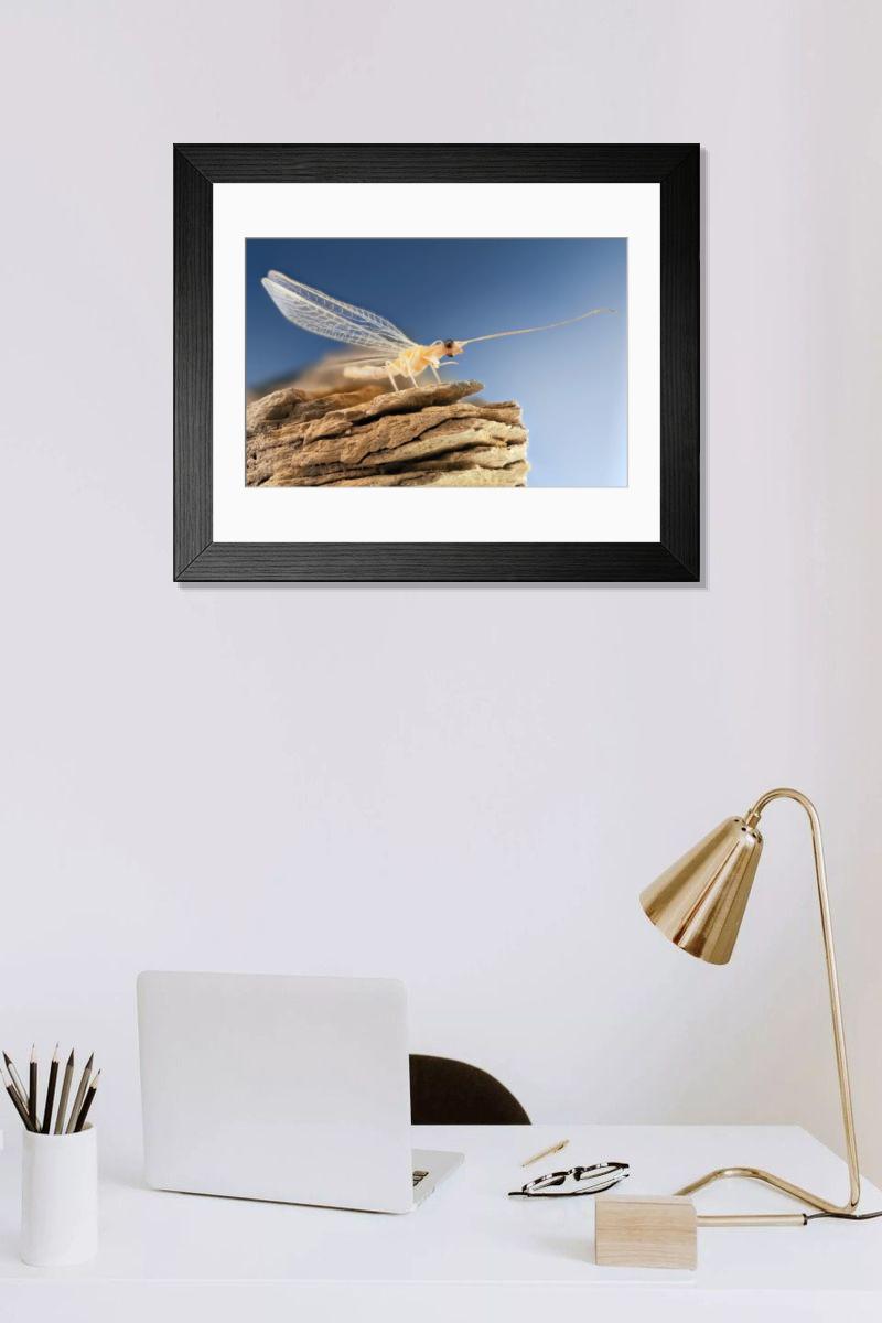 Shown hanging in a room: Modern 14"x12" (36x31cm)
